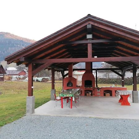 Pensiunea Armonia Albac Exterior foto