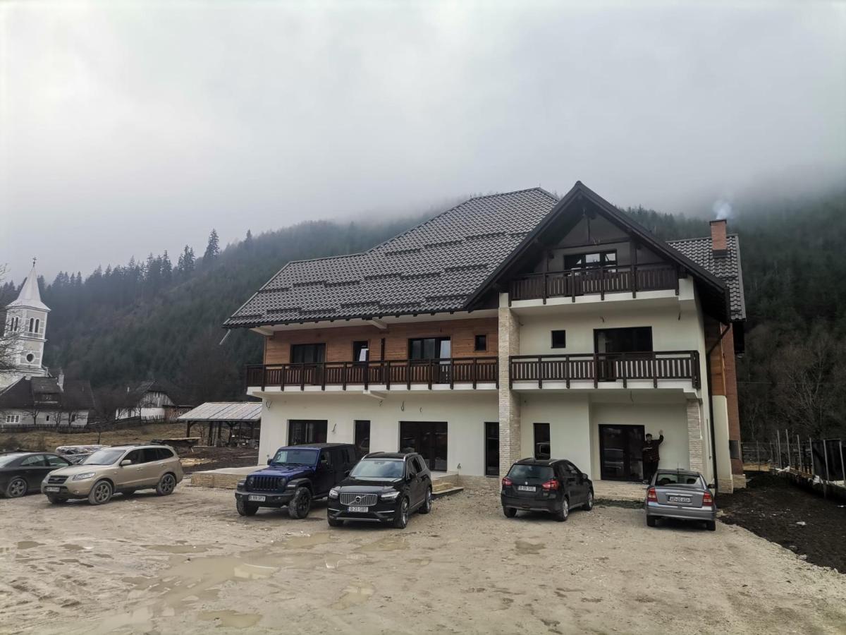 Pensiunea Armonia Albac Exterior foto